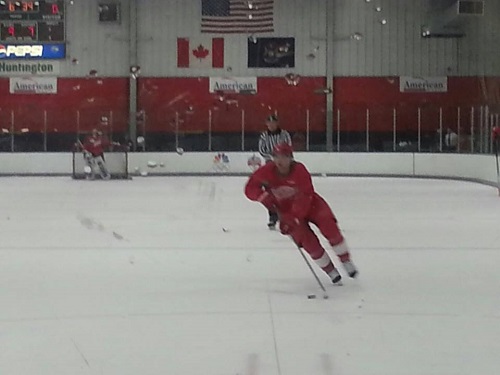 Red Wings Development Camp 2013