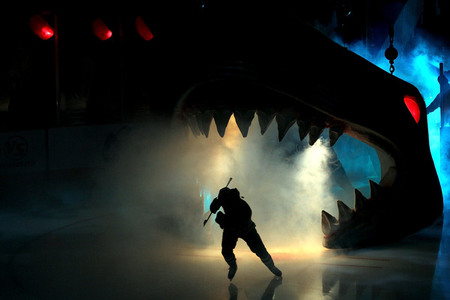 San Jose Sharks fan Frog Man in stands with sign that reads Yea