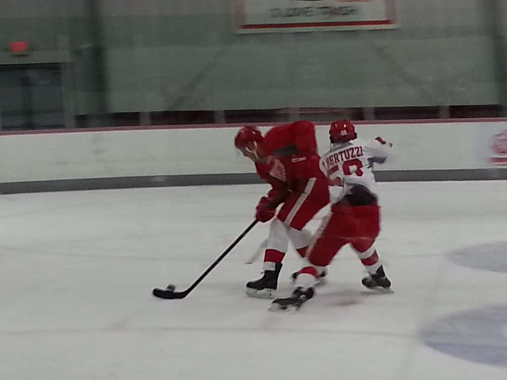 Tyler Bertuzzi (right) trying to steal the puck away from an opponent. (Photo taken by author)