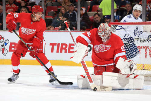 Red Wings netminder Jonas Gustvasson made 30 saves on Saturday, earning him his first shutout in a Red Wings uniform. (Dave Reginek/NHLI via Getty Images)