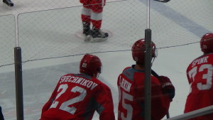 A pair of first round draft picks, Evgeny Svechnikov (2015) and Dylan Larkin (2014). (Photo by Author)