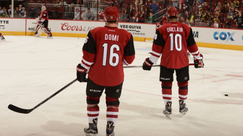 Rookie Max Domi making a home in the desert