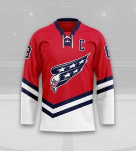 Checkout these Amazing Alternate Jerseys Designs for all 32 NHL Teams