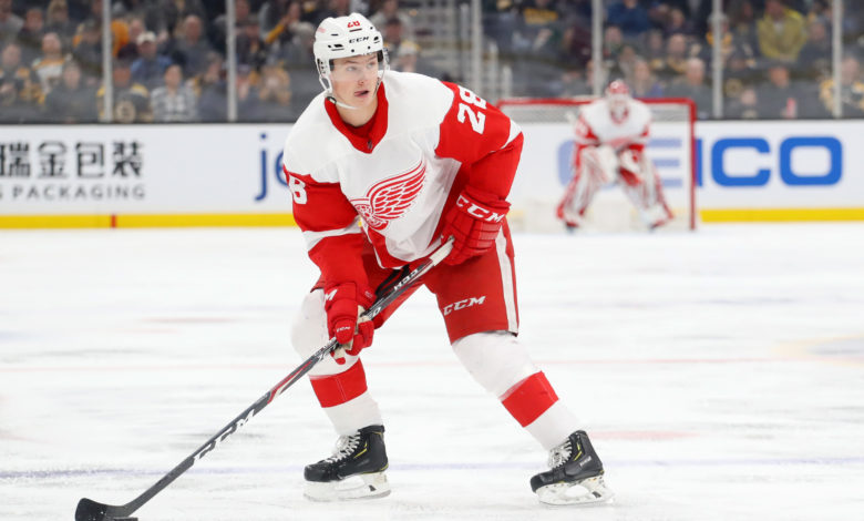 Detroit Red Wings on X: UPDATE: The #RedWings today re-signed defenseman  Gustav Lindstrom to a one-year contract with an AAV of $950,000.   / X