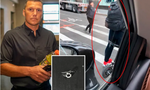 Sean Avery in court for allegedly hitting car with scooter