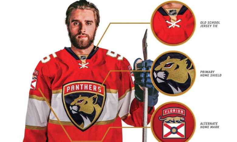 Here are 3 jersey concepts of how the Panthers could rebrand based