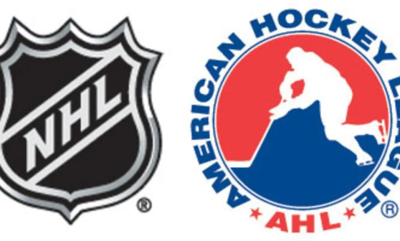 AHL Logo Ranking: No. 12 - Charlotte Checkers - The Hockey News